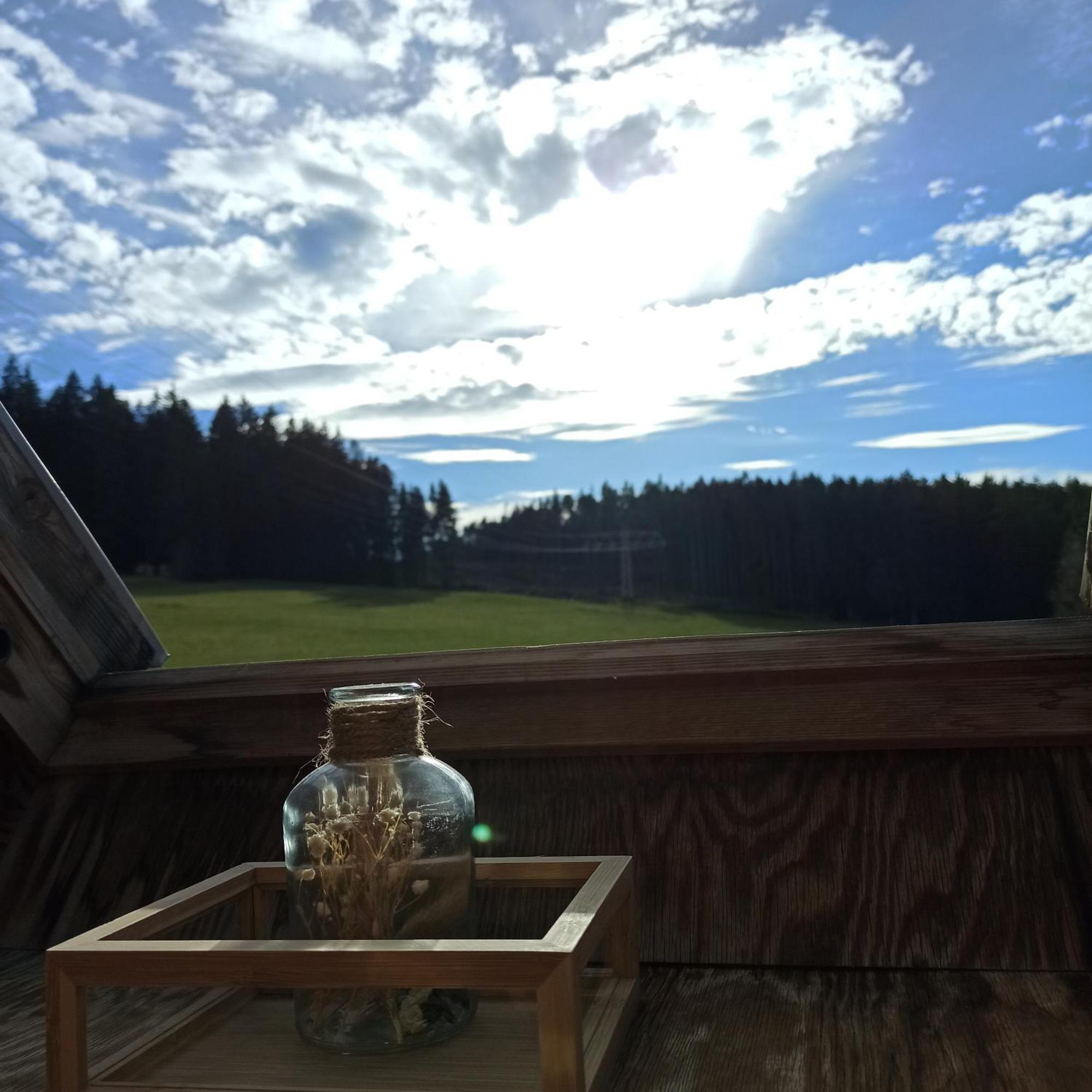 Ferienwohnung Brentenholz Sankt Georgen im Schwarzwald Eksteriør billede